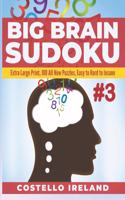 Big Brain Sudoku 3: Extra Large Print, 100 All New Puzzles, Easy to Hard to Insane: A Math Logic Puzzle, Sudoku is Stimulating for Your Big Brain, Seniors, Elderly, Adu