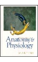 Fundamentals of Anatomy and Physiology