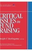 Critical Issues in Fund Raising