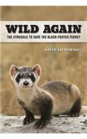 Wild Again
