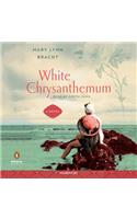 White Chrysanthemum