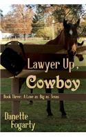 Lawyer Up, Cowboy