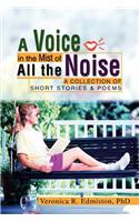 Voice in the Mist of All the Noise: A Collection of Short Stories & Poems