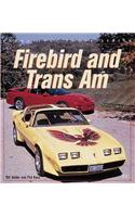 Firebird and Trans am