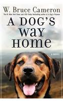 Dog's Way Home