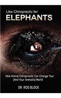 Like Chiropractic for Elephants: How Animal Chiropractic Can Change Your (and Your Animal's) World
