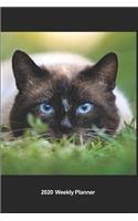 Plan On It 2020 Weekly Calendar Planner - I Love Cats - Cat On The Prowl - You Will Never See Me Coming - Pounce!