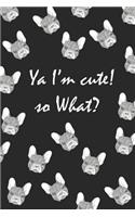 YA I'm Cute. So What?