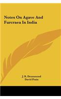 Notes on Agave and Furcraea in India