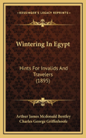 Wintering In Egypt