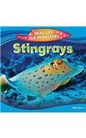 Stingrays: (Real Life Sea Monsters)