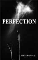 Perfection
