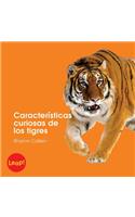 Características Curiosas de Los Tigres: (Etapa B / Los Animales)