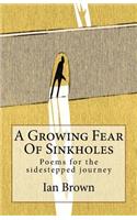 A Growing Fear Of Sinkholes: Poems for the sidestepped journey