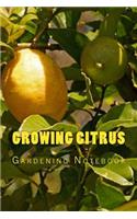 Growing Citrus