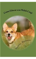 Como Educar a un Welsh Corgi