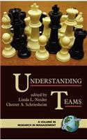 Understanding Teams