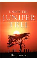 Under the Juniper Tree