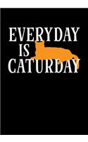 Everyday Is Caturday