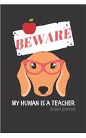 BEWARE My Human is a Teacher