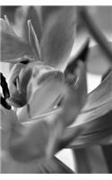 Tulips Notebook