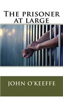 The prisoner at large
