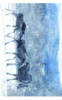 Three Moose in a Row in the Snow Journal: Take Notes, Write Down Memories in this 150 Page Lined Journal