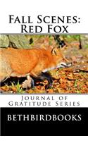 Fall Scenes Red Fox