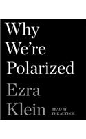 Why We're Polarized