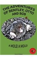 The Adventures of Bentley, Otto and Bob