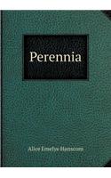 Perennia