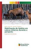 Mobilização de lipídios em cabras leiteiras durante o periparto