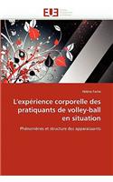 L''exp?rience Corporelle Des Pratiquants de Volley-Ball En Situation