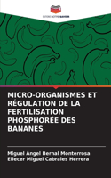 Micro-Organismes Et Régulation de la Fertilisation Phosphorée Des Bananes