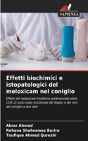 Effetti biochimici e istopatologici del meloxicam nel coniglio