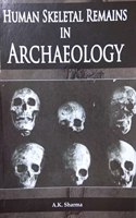 Human Skeletal Remains In Archaeology