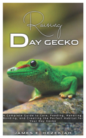 Raising Day Gecko