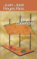 Bajo el cobertizo