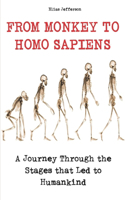 From Monkey to Homo Sapiens