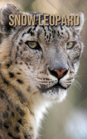 Snow Leopard: Amazing Pictures & Fun Facts on Animals in Nature