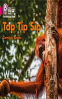 Tap Tip Sip: Band 01a/Pink a(Collins Big Cat Phonics for Letters and Sounds)