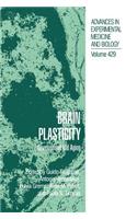 Brain Plasticity