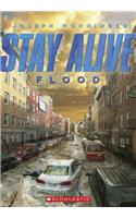 Flood