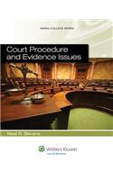 Court Procedure and Evidence Issues