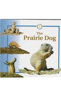 The Prairie Dog: (Life Cycles)