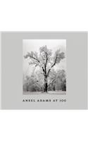 Ansel Adams At 100