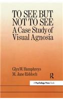 To See But Not to See: A Case Study of Visual Agnosia