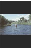 In Stream Poems