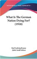 What Is the German Nation Dying For? (1918)