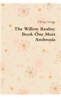 Willow Realm